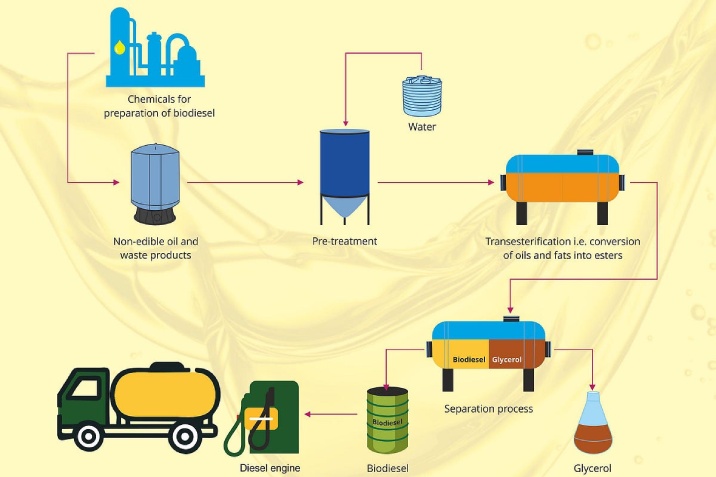 Collecting and Preparing Used Cooking Oil