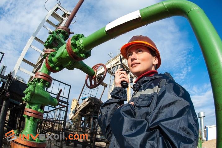 Roles and Responsibilities of Petroleum Engineering